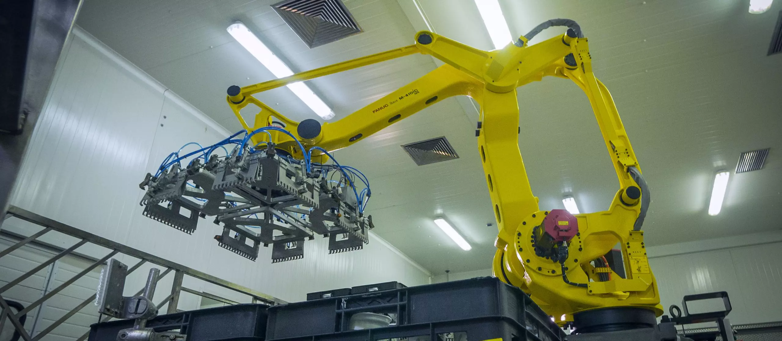 Success story of successful implementation of FANUC 410iC palletising robot at the Bulgarian dairy company ELVI by SimLogic Ltd.