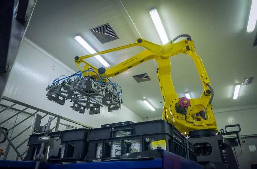 Success story of successful implementation of FANUC 410iC palletising robot at the Bulgarian dairy company ELVI by SimLogic Ltd.