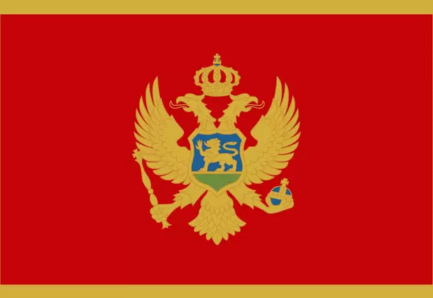 Flags of FANUC countries