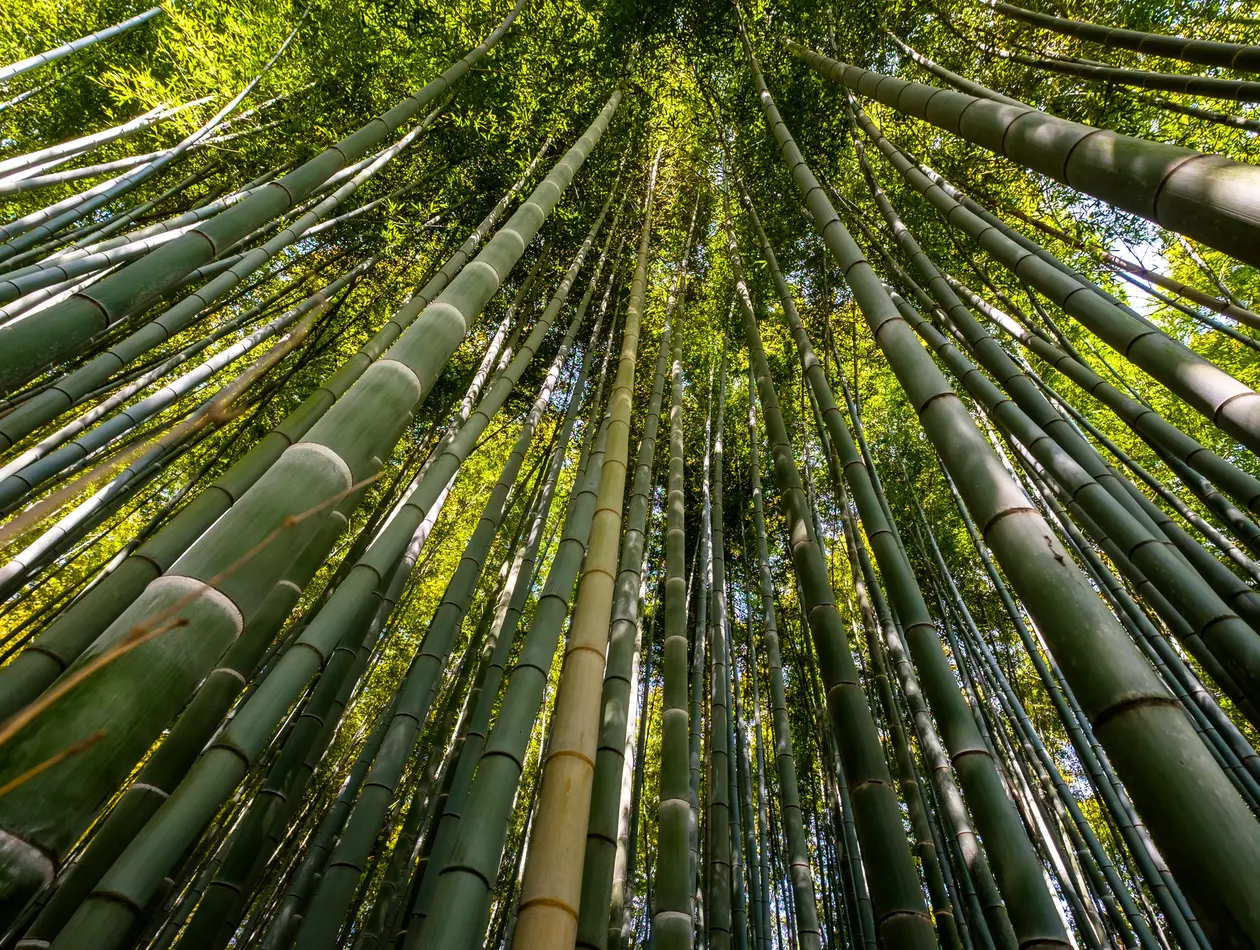 At FANUC, environmental responsibility is a top priority. We meticulously oversee every aspect of our environmental impact in our business activities, striving for a greener tomorrow.