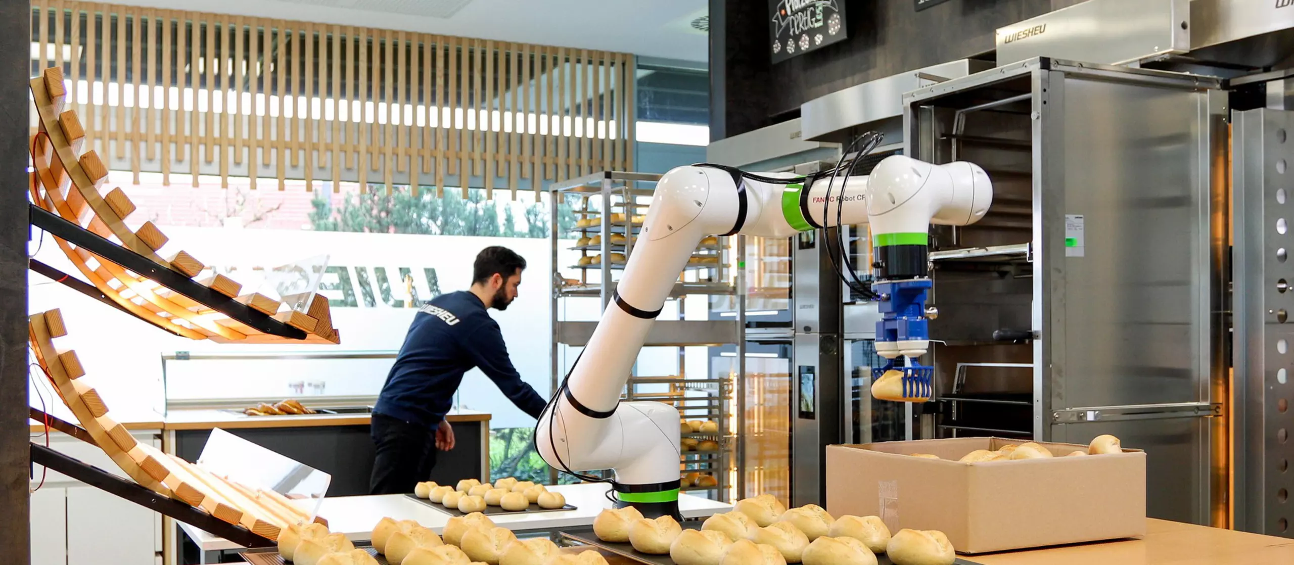 Success story about successful implementation of a FANUC cobot  at the company WIESHEU (food industry). FANUC collaborative robot  CRX-10iA/L takes the buns from a crate, sorts them onto a baking tray and pushes the trays into shelves for baking. The CRX also tips the baked rolls from the tray into sales racks.