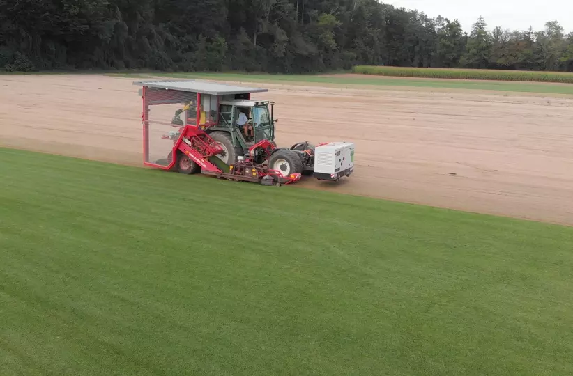 Robot palletising rolled turf