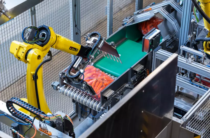 Images Inoverde Case Study. Picking, Packing, Palletising of carrots with M-20iD/25, M-20iD/35, and M-710iC/50 and DCS.