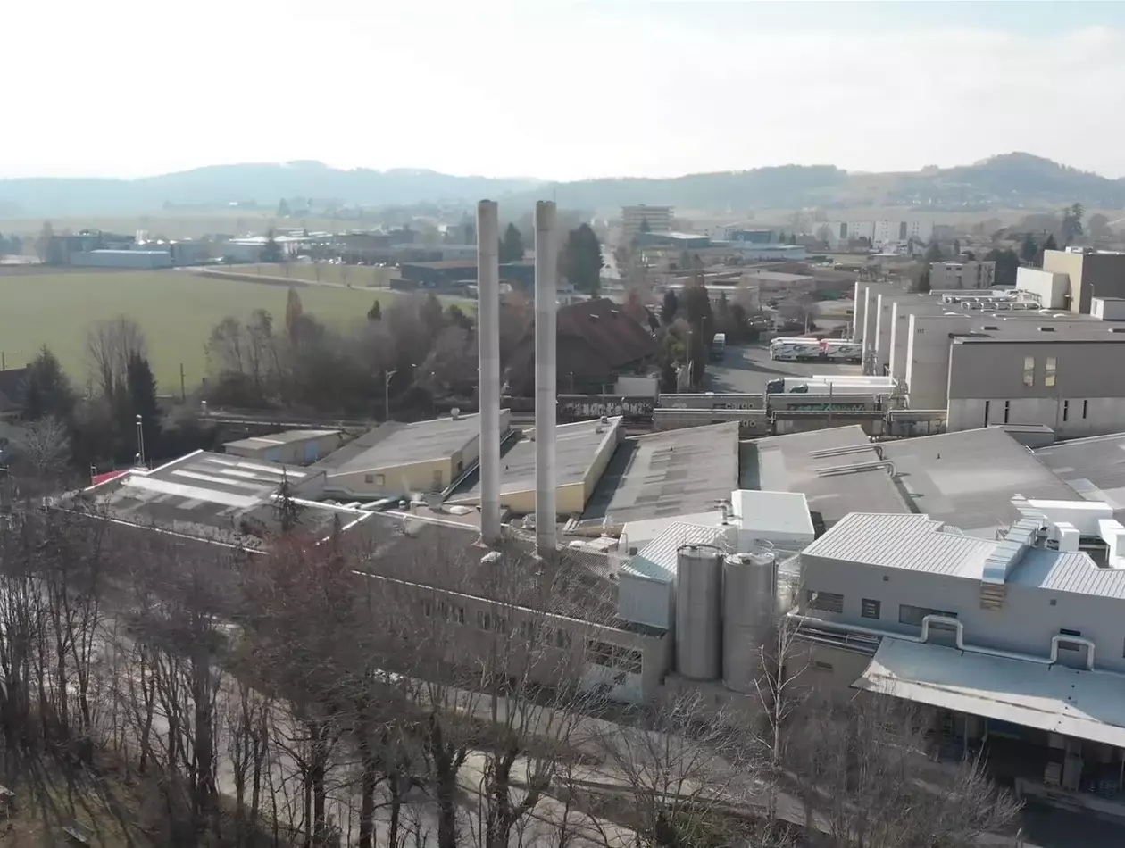 Images for success story for Elsa Group