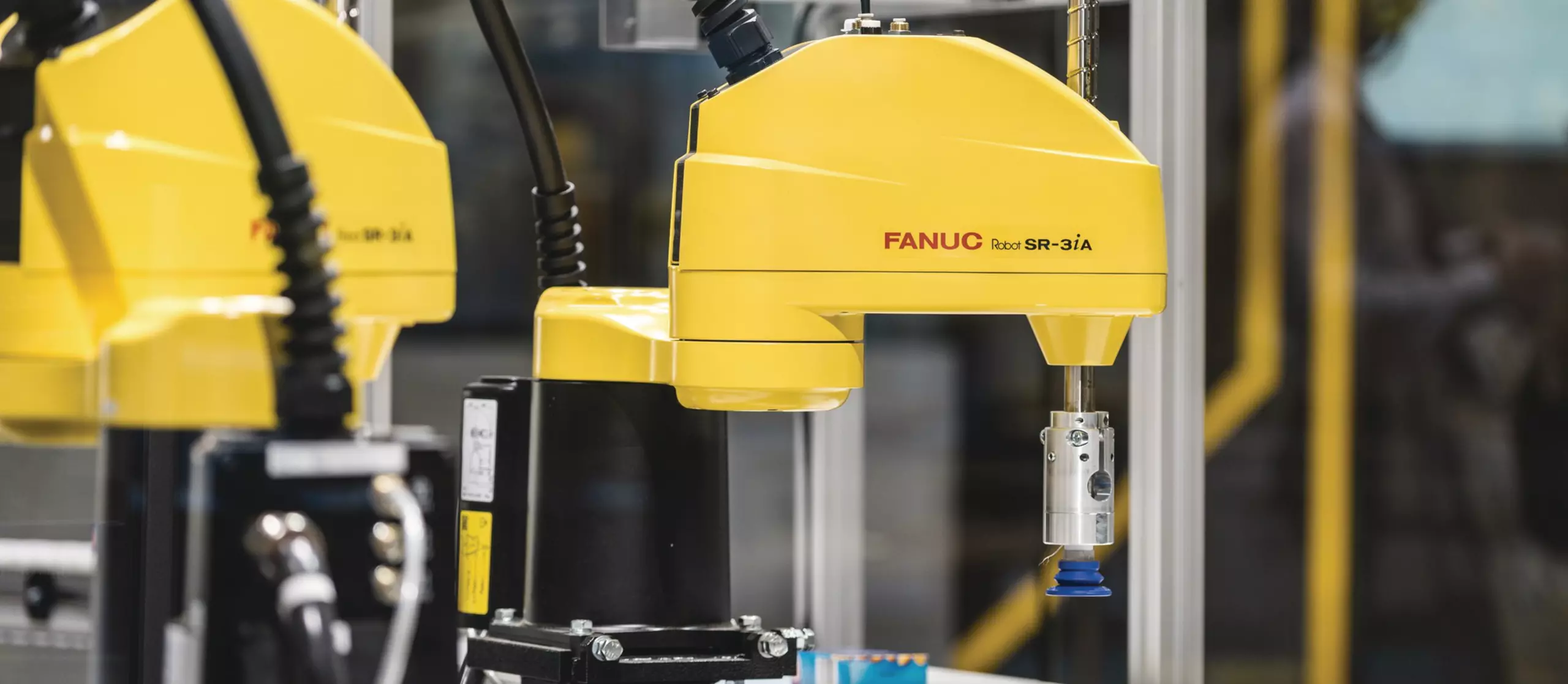 The FANUC SR-3iA robot picking peanuts.