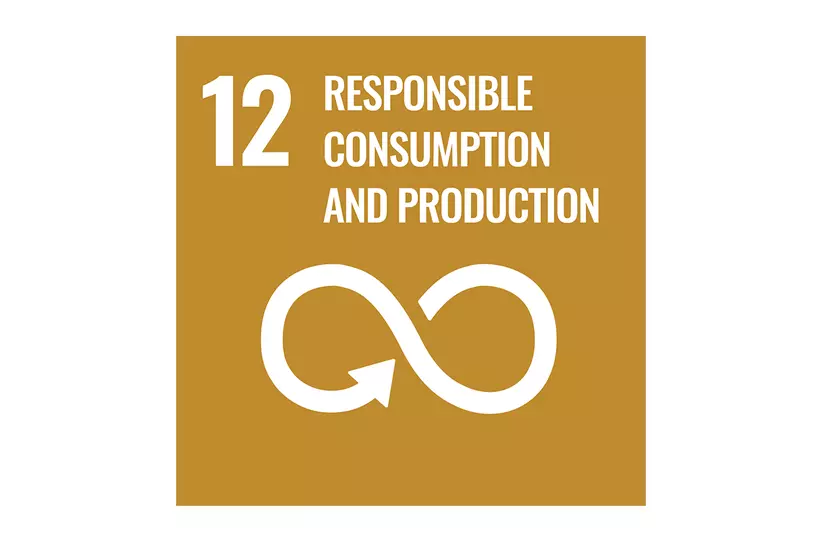 UN Sustainability Development Goals