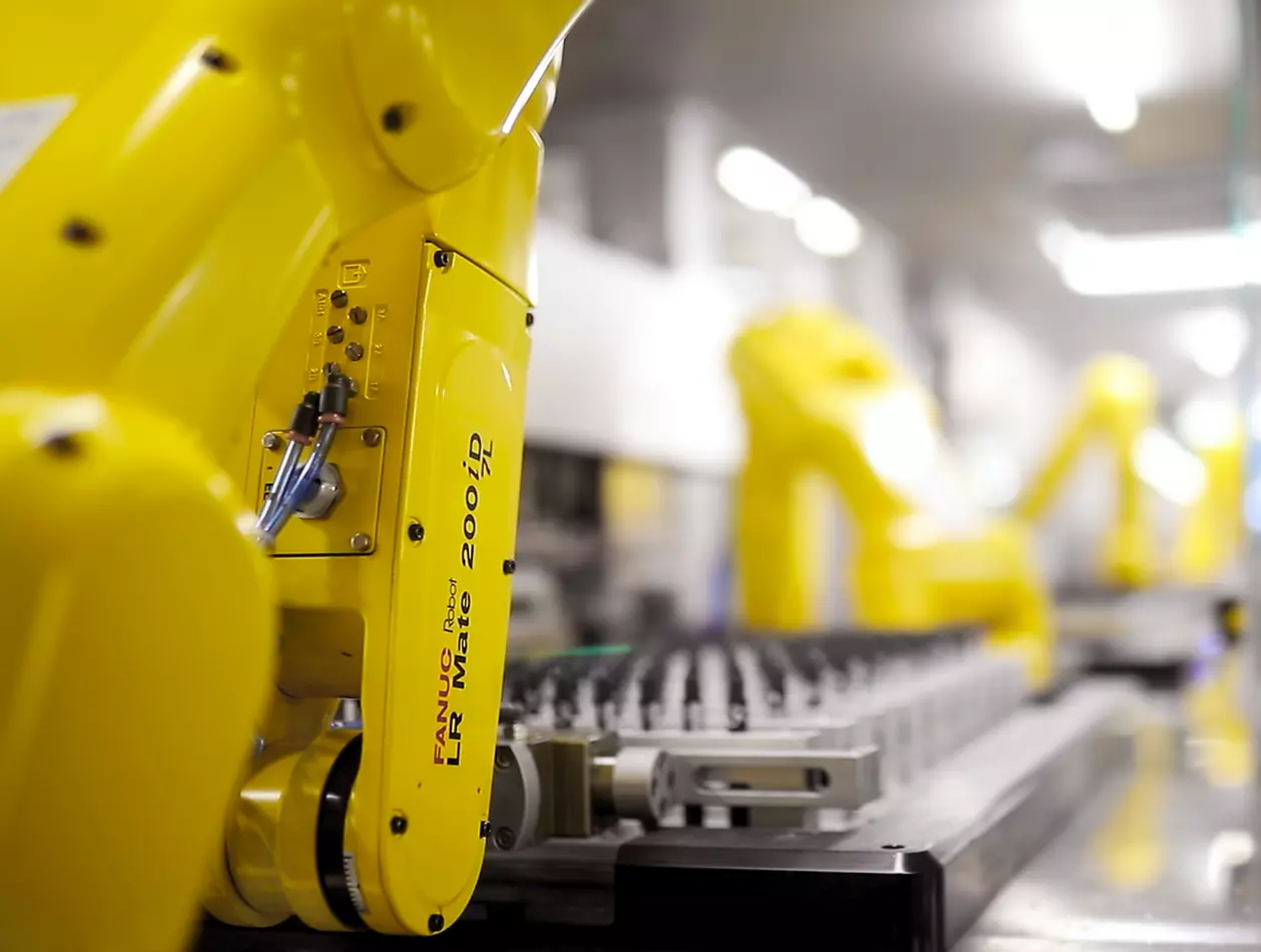 Images referring to the case study Erkul cosmetics FTR