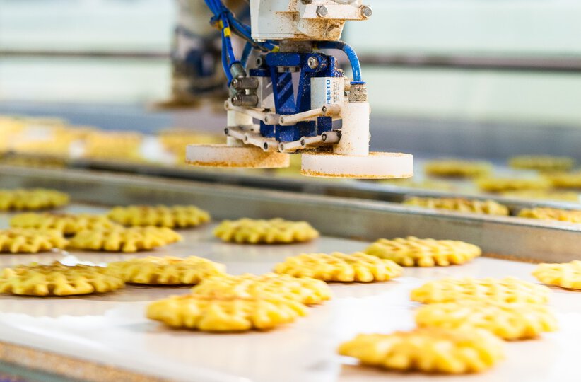 Robot application picture. Delta robot M-2iA picking waffles.
Greymans success story about Biscuiterie Thijs (Belgium waffle producer).