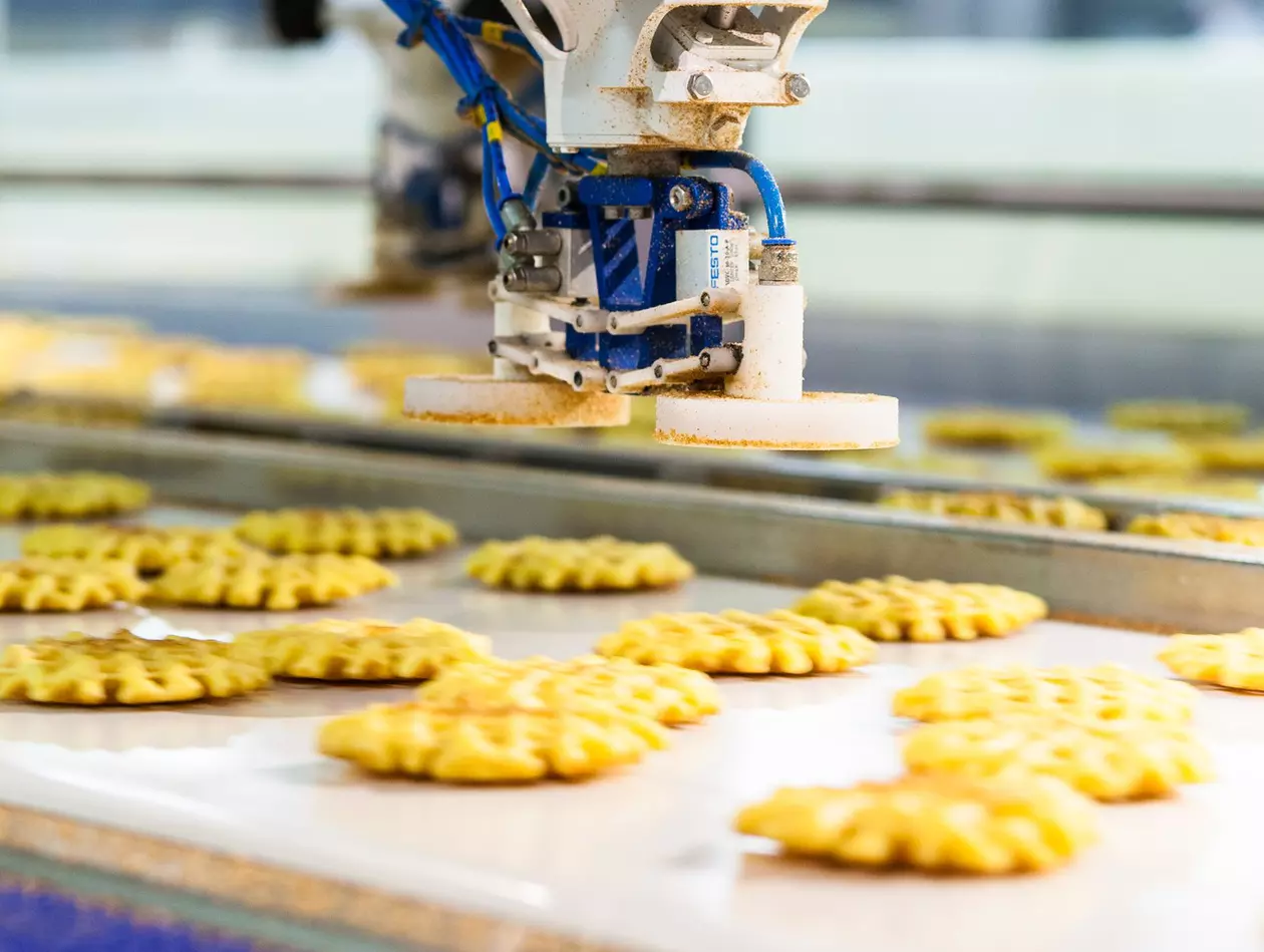 Robot application picture. Delta robot M-2iA picking waffles.
Greymans success story about Biscuiterie Thijs (Belgium waffle producer).