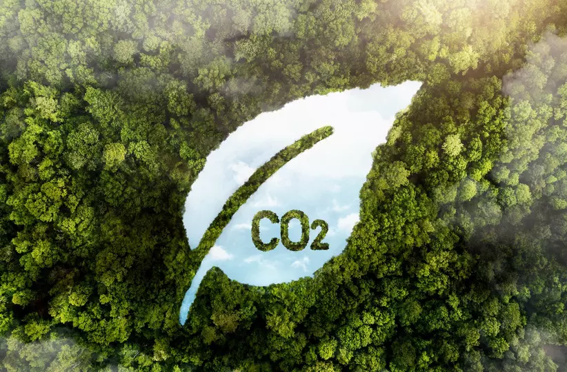 Carbon neutrality
Stock Image