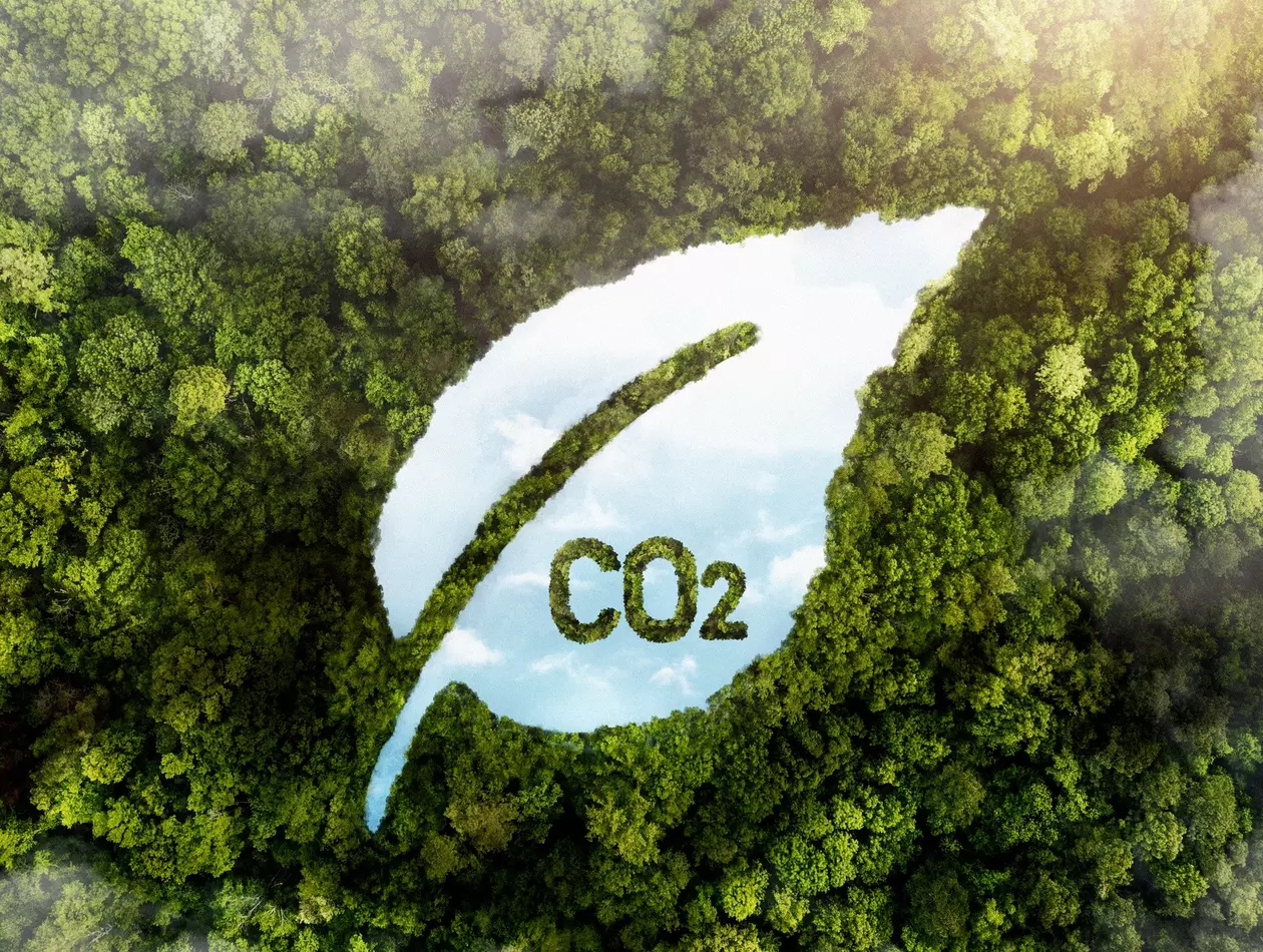 Carbon neutrality
Stock Image