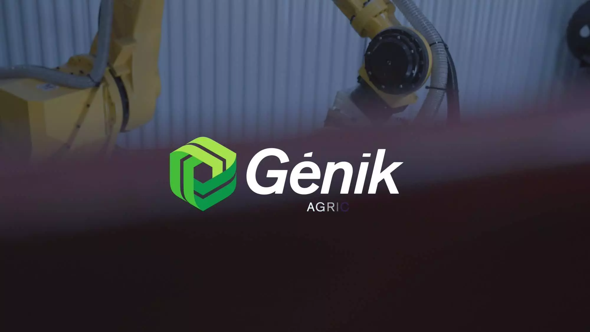 Picking e preparação de legumes