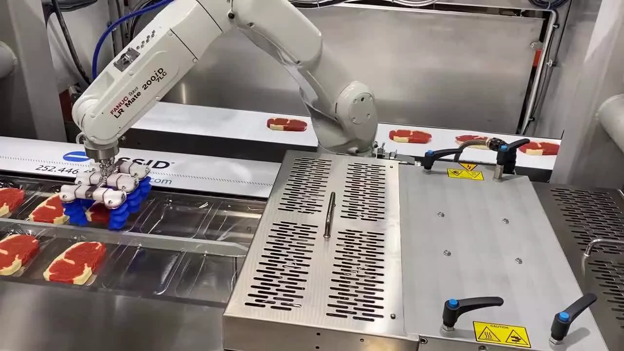 Raw Steak Packing Robots