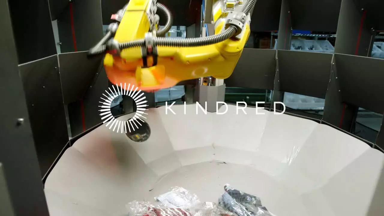 Piece Picking Robot for Order Fulfillment