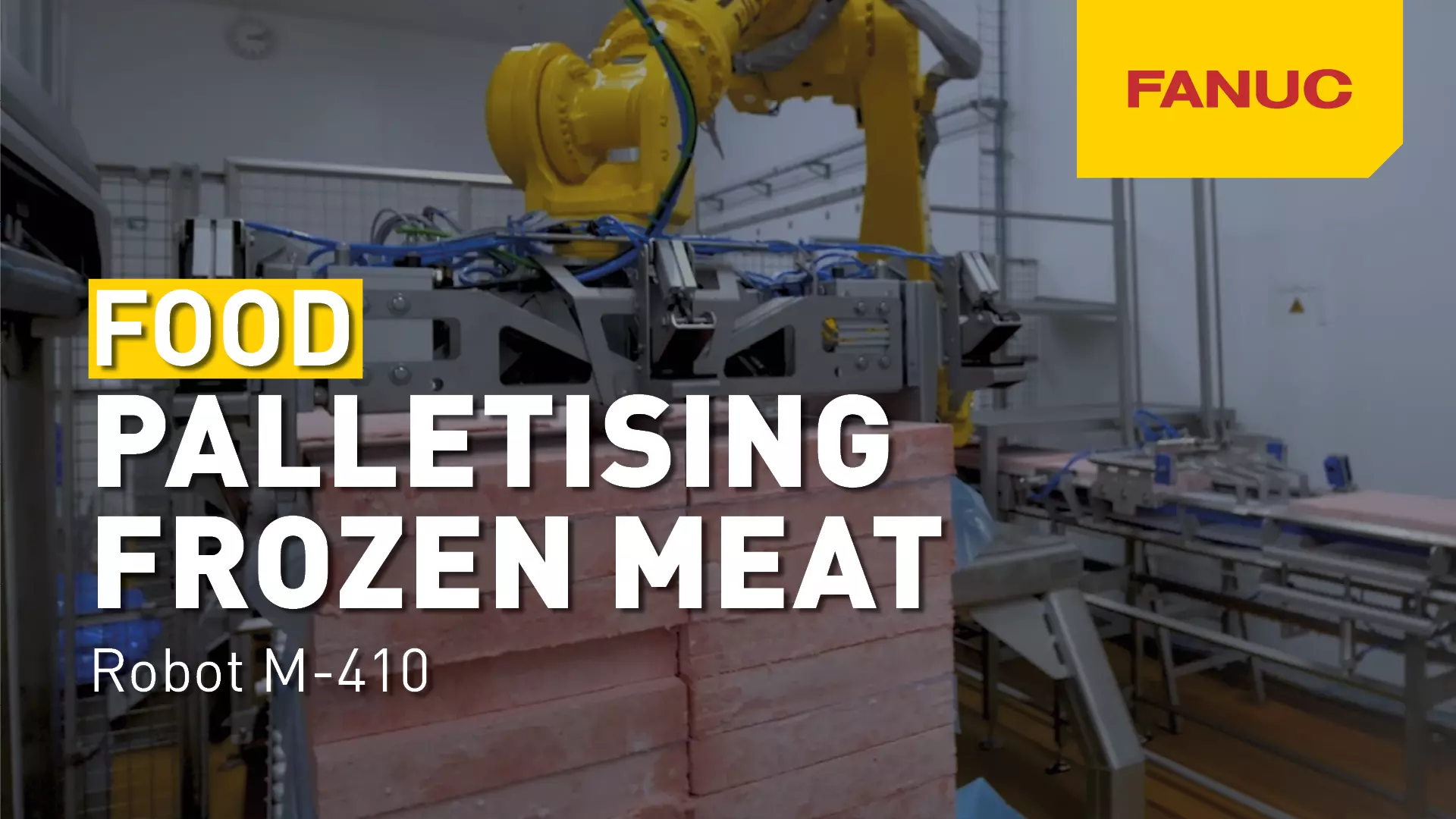 Palletising Frozen Meat with M-410