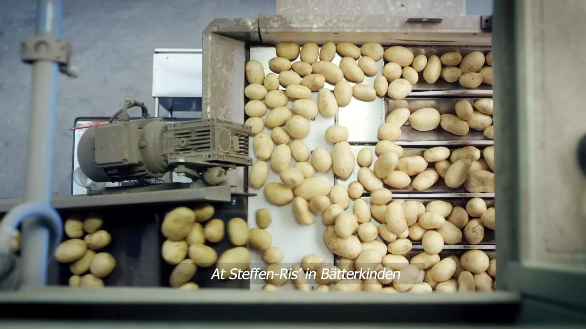 Potatoes Packing