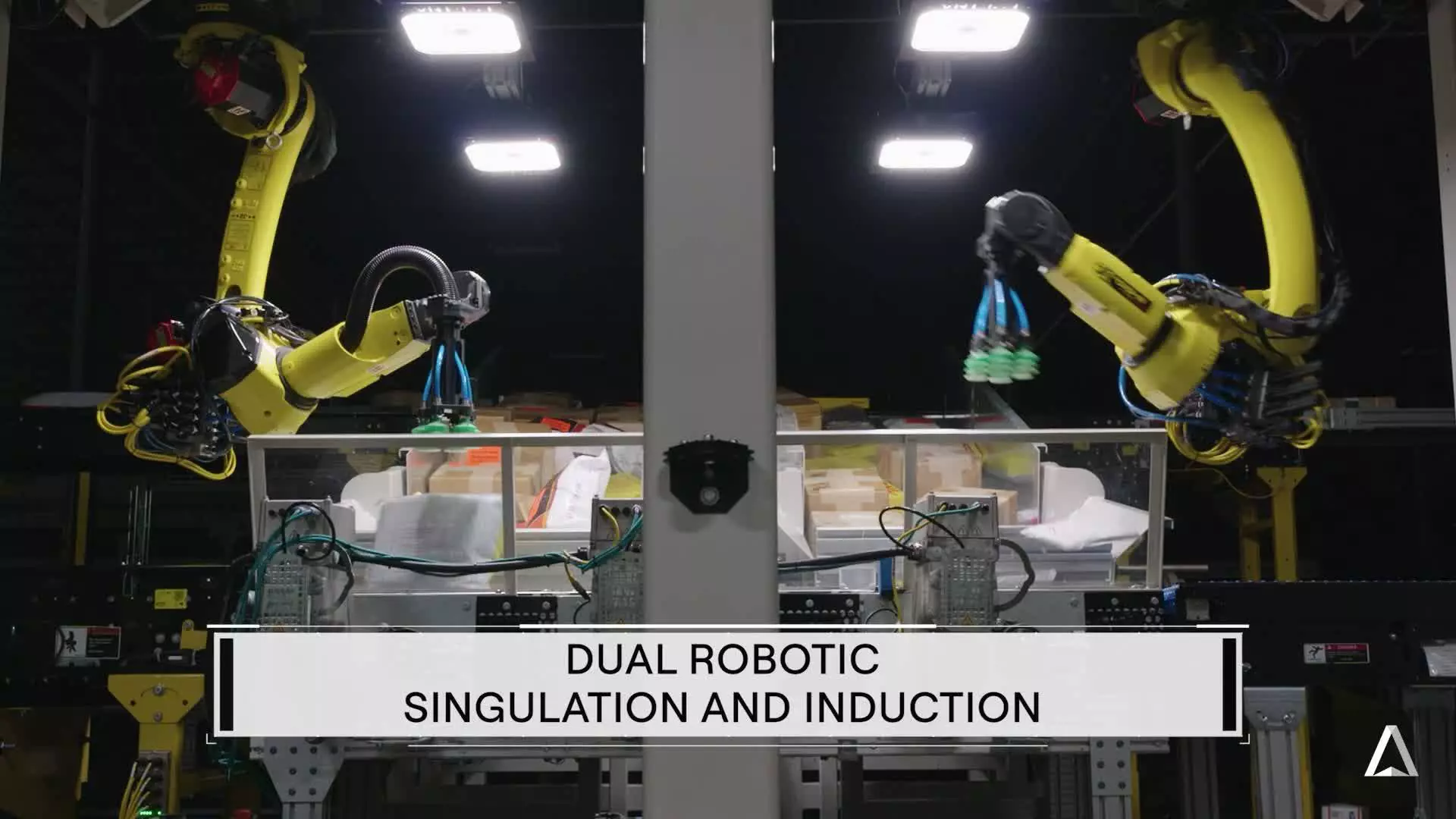 Dual Arm Robot voor Productscheiding