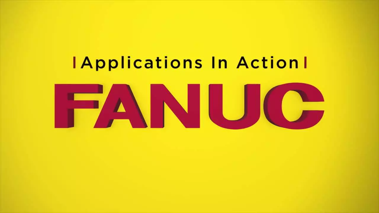 Willekeurig Mixed Depalletiseer Systeem